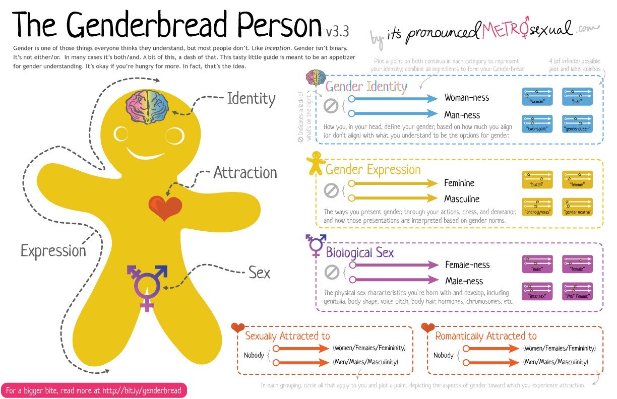 Genderbread person