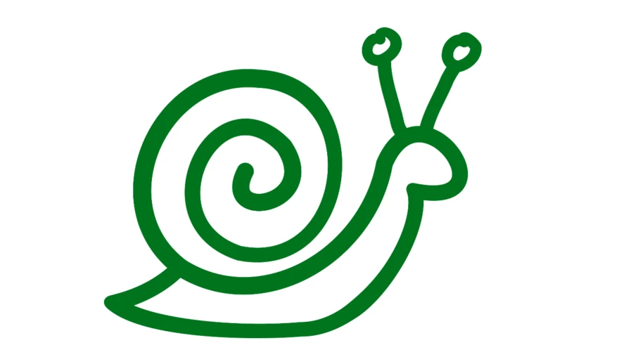 Go fast to go slow – reflections on a year of slow science