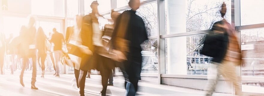 Academia in Motion for young academics: an interview with the programme coordinators