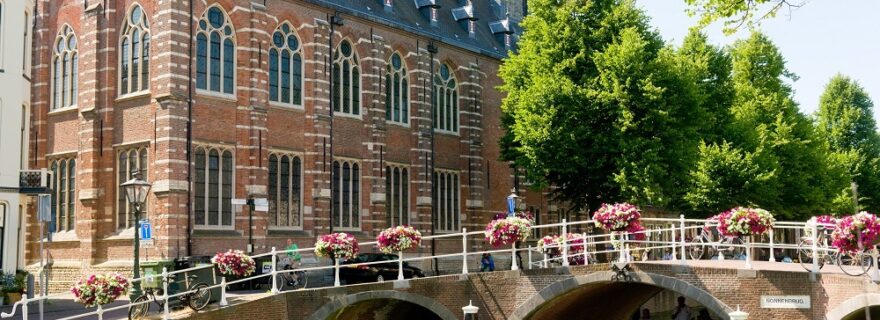 Universities are awesome